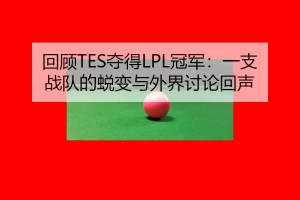 回顾TES夺得LPL冠军：一支战队的蜕变与外界讨论回声
